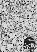 Cover: Gathering of Skulls Sketchbook - Grey - Bunny 17 Media
