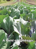 Cover: A Field of Cabbages - Good Deed Rain