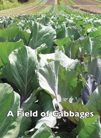 Enlarge image Cover: A Field of Cabbages - Good Deed Rain