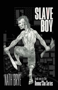 Enlarge image Cover: Slave Boy - Dawn Publishing