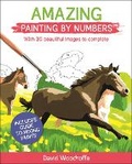 Cover: Amazing Painting by Numbers - Arcturus
