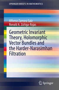 Abbildung von: Geometric Invariant Theory, Holomorphic Vector Bundles and the Harder-Narasimhan Filtration - Springer