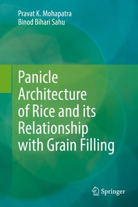 Abbildung von: Panicle Architecture of Rice and its Relationship with Grain Filling - Springer