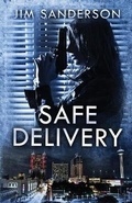 Cover: Safe Delivery - Brash Books