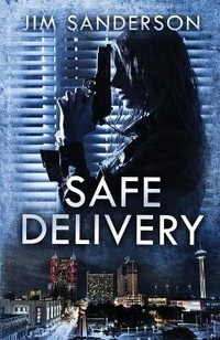 Enlarge image Cover: Safe Delivery - Brash Books