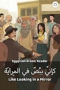 Cover: Like Looking in a Mirror - Linguliams