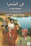 Cover: In the Desert - Lingualism