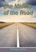 Cover: The Middle of the Road - Lilliban Arts, LLC