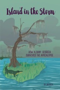 Cover: Island in the Storm - MINDSTIR MEDIA