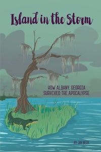Enlarge image Cover: Island in the Storm - MINDSTIR MEDIA