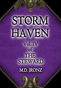 Cover: Storm Haven - Professorial Holdings