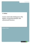 Cover: Causes of Juvenile Delinquency. The Impact of parental Attitudes and educational Practices - GRIN Verlag