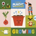 Cover: Magic Windows: Growing - Ladybird