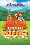 Cover: Little Rabbit's Happy Play Day - Mulberry Books