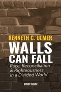 Cover: Walls Can Fall - Dream Releaser Publishing
