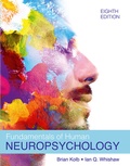 Cover: Fundamentals of Human Neuropsychology - Worth Publishers Inc.,U.S.