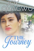 Cover: The Journey (She Knows Her God, #0) - Divine Breakthrough Infinity