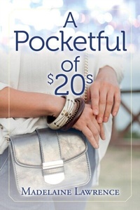 Abbildung von: A Pocketful of $20s - Palmetto Publishing