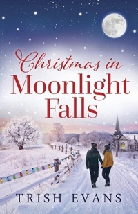 Abbildung von: Christmas in Moonlight Falls - Stonearch Bridge Books