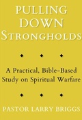 Cover: Pulling Down Strongholds - Larry Briggs