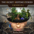 Cover: The Secret Bedtime Stories (Preschool Educational Picture Books, #3) - Preschool Educational Picture Books