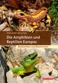 Abbildung von: Die Amphibien und Reptilien Europas - Quelle & Meyer