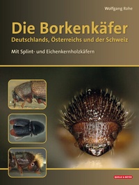 Abbildung von: Die Borkenkäfer Deutschlands, Österreichs und der Schweiz - Quelle & Meyer