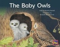 Enlarge image Cover: The Baby Owls - Houghton Mifflin