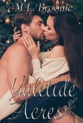 Cover: Yuletide Acres - M.L. Broome