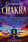 Cover: Guarigione Dei Chakra - Amplitudo Ltd