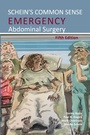 Cover: Schein's Common Sense Emergency Abdominal Surgery 2020 - TFM Publishing Ltd
