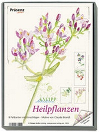 Abbildung von: KK-Box Heilpflanzen - Präsenz Medien & Verlag