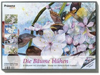 Abbildung von: KK-Box Die Bäume blühen - Präsenz Medien & Verlag