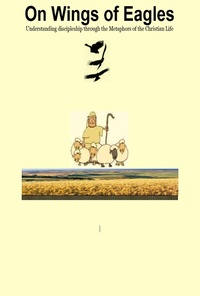Abbildung von: On Wings of Eagles - D.D.Evans