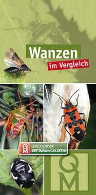 Abbildung von: Wanzen - Quelle & Meyer