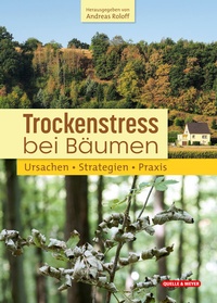 Abbildung von: Trockenstress bei Bäumen - Quelle & Meyer