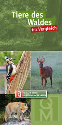 Abbildung von: Tiere des Waldes im Vergleich - Quelle & Meyer