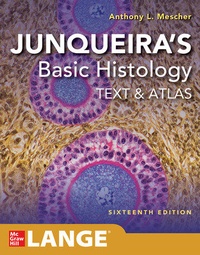 Abbildung von: Junqueira's Basic Histology: Text and Atlas, Sixteenth Edition - McGraw-Hill Education