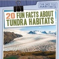 Cover: 20 Fun Facts about Tundra Habitats - Gareth Stevens Publishing