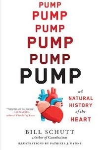 Enlarge image Cover: Pump - Algonquin Books