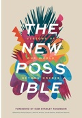 Cover: The New Possible - Wipf & Stock Publishers