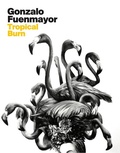 Cover: Gonzalo Fuenmayor: Tropical Burn - DelMonico Books/D.A.P.