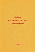 Cover: A Beautiful Day - Steidl