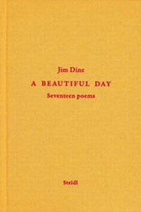 Abbildung von: A Beautiful Day - Steidl