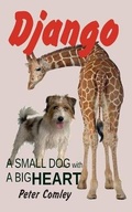 Cover: Django - Kindle Direct Publishing