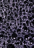 Cover: Gathering of Skulls Sketchbook - Black and Purple - Bunny 17 Media