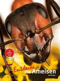 Cover: Entdecke die Ameisen - Natur und Tier