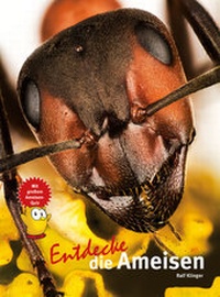 Abbildung von: Entdecke die Ameisen - Natur und Tier
