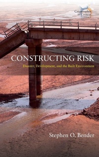 Enlarge image Cover: Constructing Risk - Berghahn Books