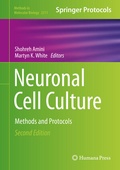 Bild: Neuronal Cell Culture - Humana
